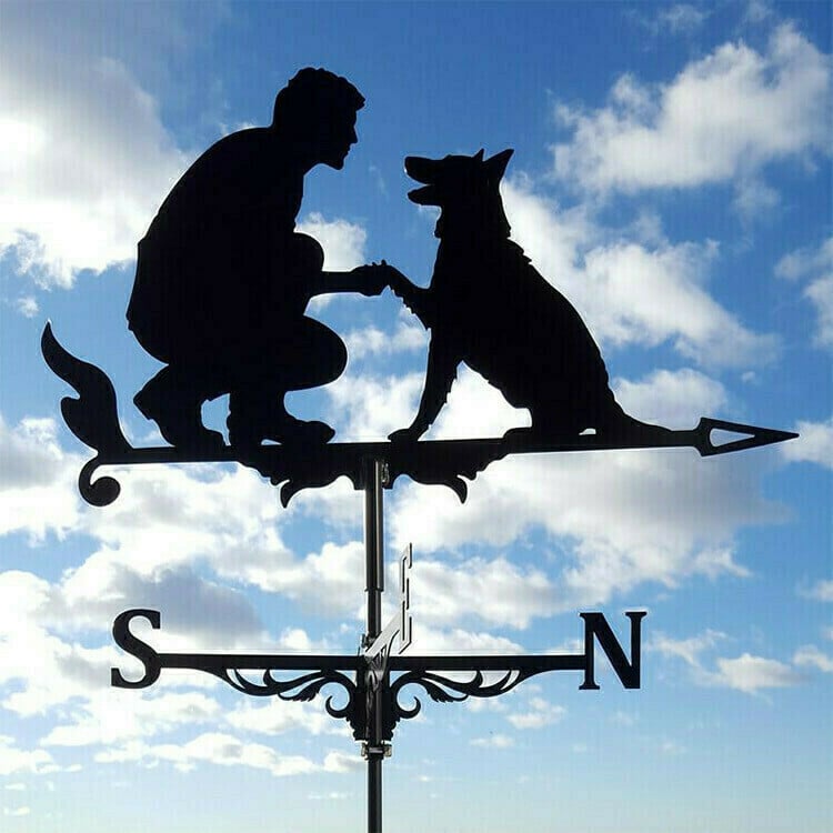 🔥Last Day Sale 50% OFF🔥🏠Stainless Steel Weathervane, BUY 2 FREE SHIPPING