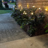 (🔥Christmas Sale- SAVE 49% OFF) 🧚Dancing Firefly Solar Garden Lights