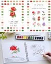 🎁Last Day Promotion 70% OFF💕 Watercolor Workbook🖼️Beginner-Friendly