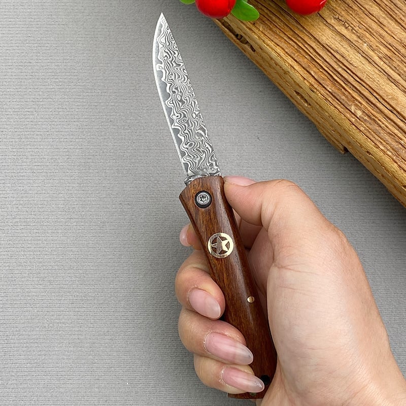 Exquisite Handcrafted Stainless Steel Pocket Knife with Wooden Handle and Damascus Blade