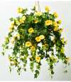 ✨This Week's Special Sale 70% Off- UV Simulation Artificial flower