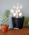 Light Projections Plant Pot