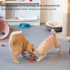 🌲Early Christmas Sale 49% Off🌲Mini Cute Electric Ladybug Cat Toy, 🔥BUY 5 GET 3 FREE & FREE SHIPPING