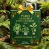 🔥Christmas Sales 50% OFF🎄-2025 Plant Christmas Advent Calendar🌿