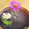 🔥Last Day 50% OFF - 2025 Creative Floating Floral Arrangement Holder