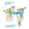 ( Last Day Promotion - 50% OFF) Automatic Little Bird Watering Device, Buy 5 Get 5 Free & Free Shipping