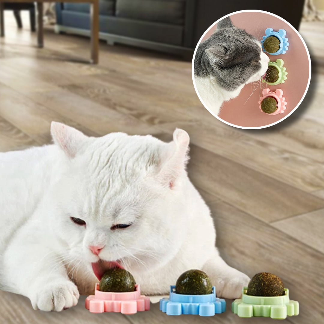 🔥Hot Sale 50% OFF🔥CATNIP WALL BALL