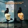 💀 Halloween Skull Solar Lights with Crow – Spooky Outdoor Decor