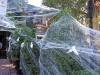 🎃HALLOWEEN PRESALE 48% OFF-1400 Sqft Halloween Spider Web Decor (BUY 2 GET FREE SHIPPING)