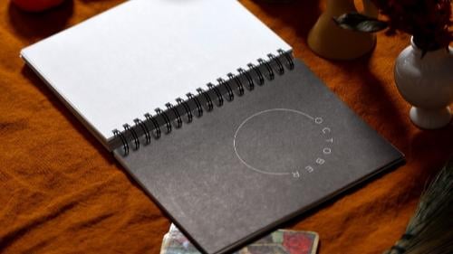 🎅Christmas Promotion 48% OFF-🎁-2025 Many Moons Lunar Planner📚