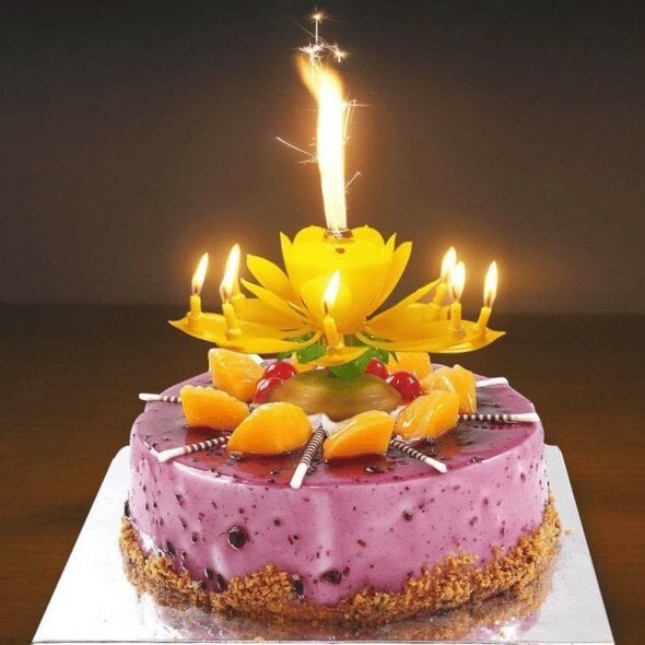 SUMMER DAY PROMOTIONS- SAVE 50% OFF- Magic Flower Birthday Candle- BUY 4 GET FREE SHIPPING