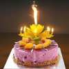 SUMMER DAY PROMOTIONS- SAVE 50% OFF- Magic Flower Birthday Candle- BUY 4 GET FREE SHIPPING