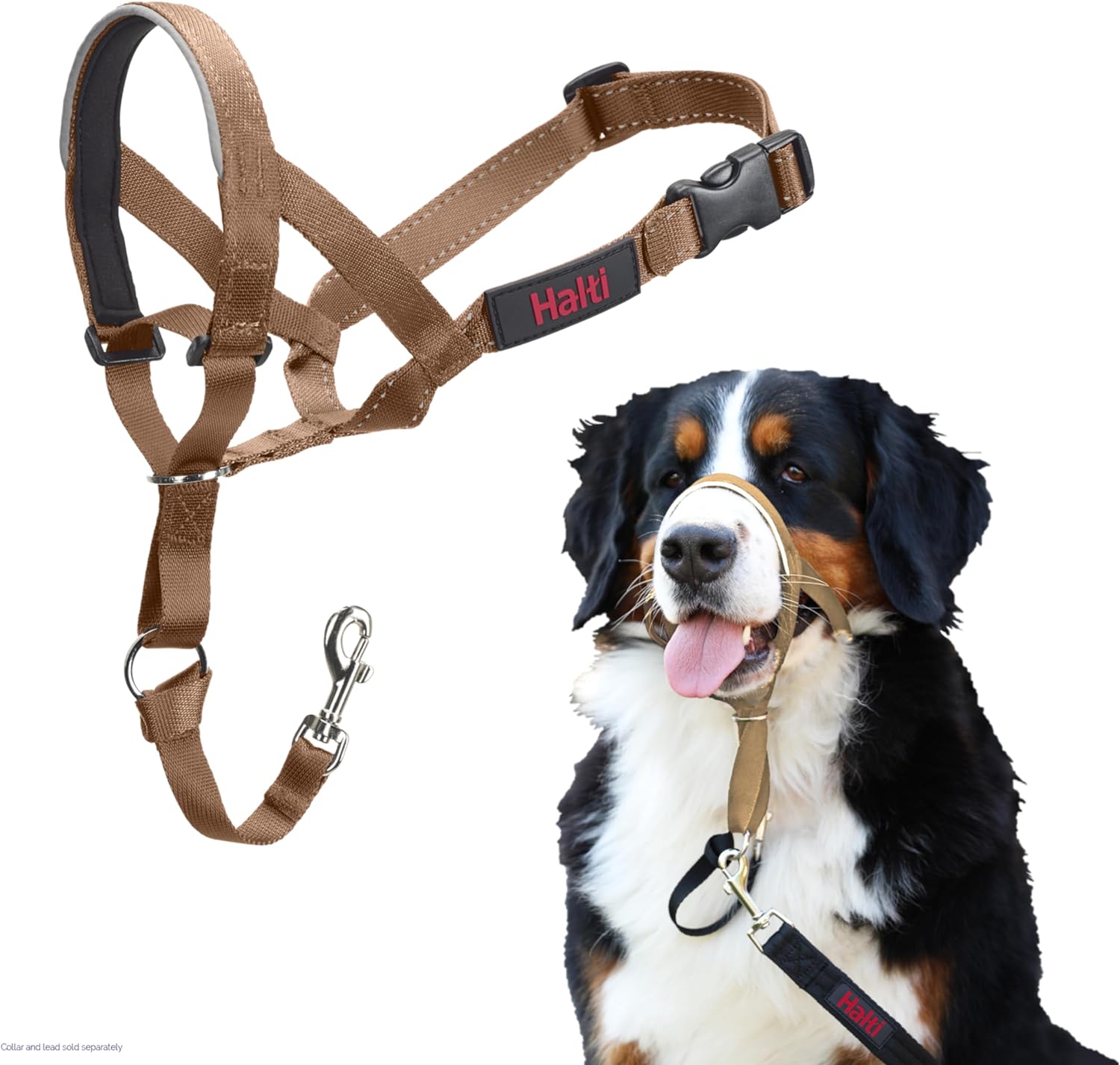 HALTI Headcollar - To Stop Your Dog Pulling on the Leash. Adjustable, Reflective and Lightweight, with Padded Nose Band. Dog Training Anti-Pull Collar for Medium Dogs (Size 3, Red)