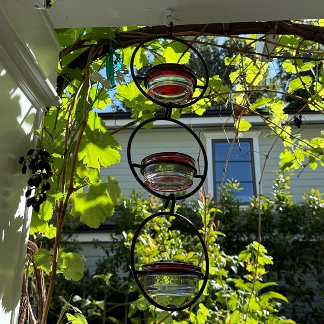 Hummble Slim Hummingbird Feeder