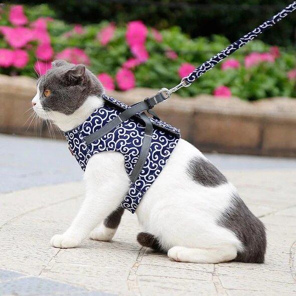 LAST DAY SALE-65% OFF ONLY TODAY-Cat Dogs Vest Harness and Leash Anti-break Away Chest Strap Cat Clothes