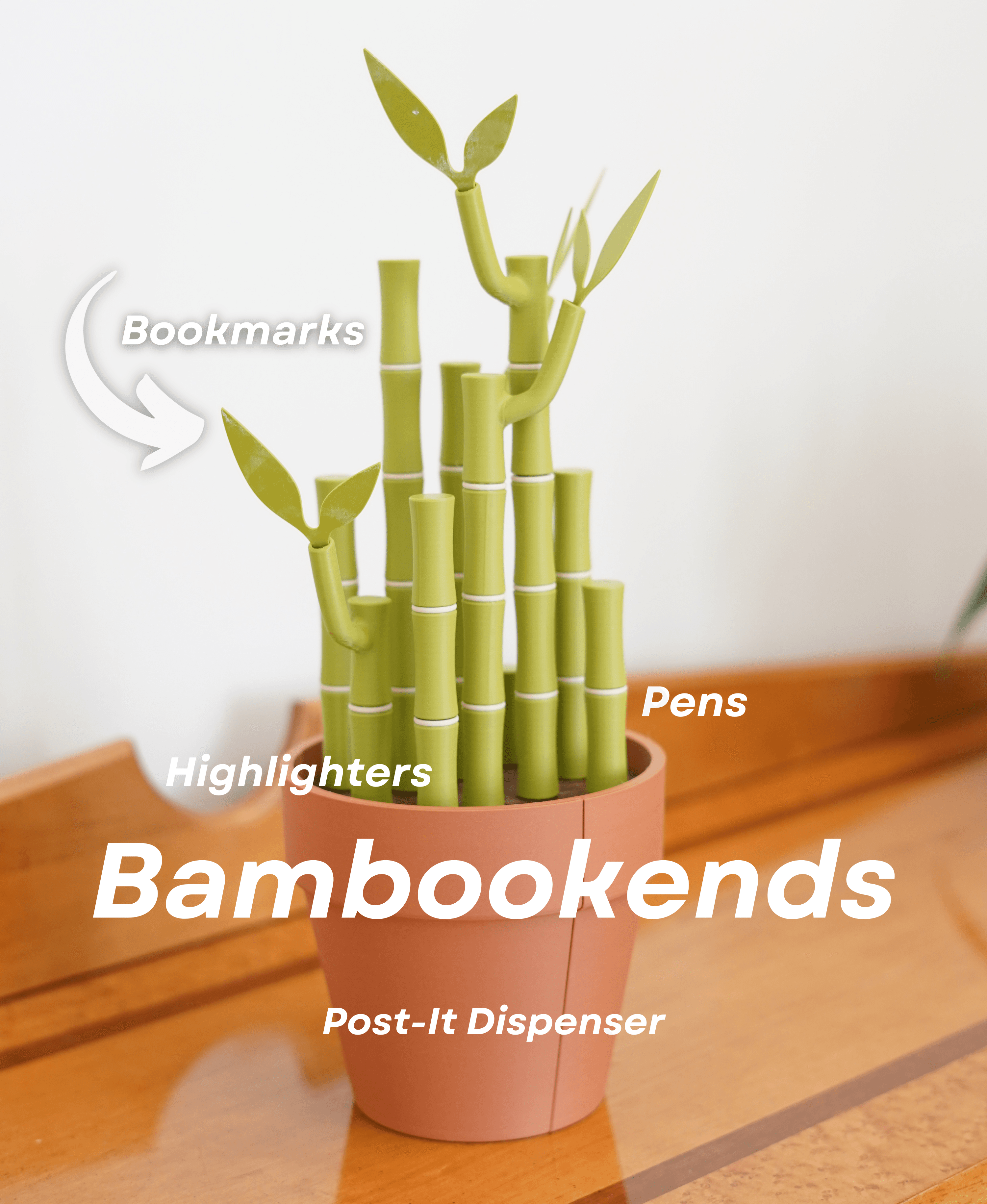 Bambookends | Bamboo Functional Plant (✨Free Shipping✨)