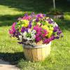 🌸 Spring Summer Home Decoration - 🌿 Fake Silk Colorful Morning Glory