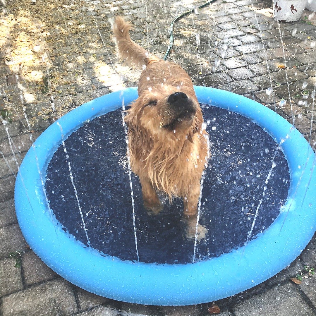 (🔥Last Day Promotion-60%OFF)Non-Slip Splash Pad for Kids and Dog(Buy 2 Free shipping)
