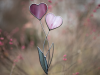 💝2023 Mother's Day Save 48% OFF🎁Stain Glass Heart Plant Stake(BUY 3 GET FREE SHIPPING&EXTRA 20% OFF)