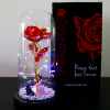 🔥Last Day 50% OFF - Enchanted Sparkly Rose™