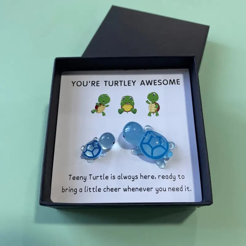 🐢Turtle Gift Box Set -