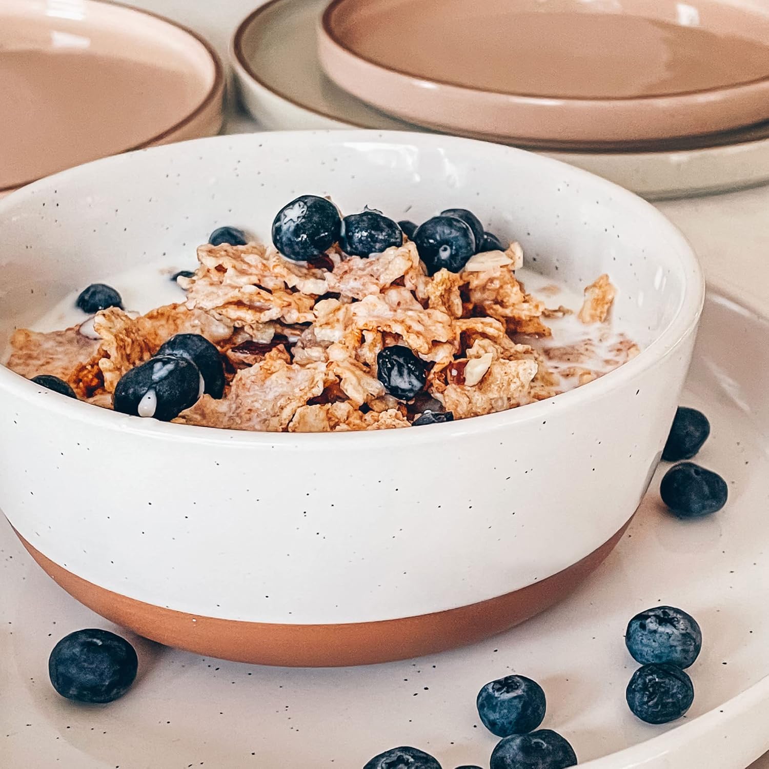 Set of 4 Porcelain Bowls, 25oz - Microwave, Dishwasher & Oven Safe for Soup, Cereal, etc.