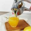 (Early Christmas Sale-50% OFF ) - Stainless Steel Fruit Juice Squeezer