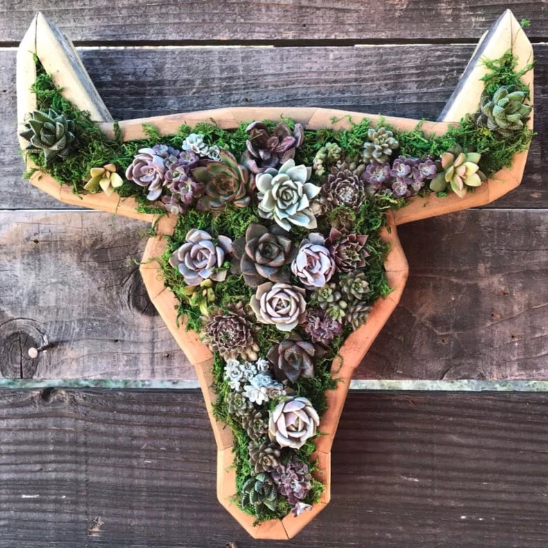 🎁2023-Christmas Hot Sale🎁Animal Succulent Garden Arrangement & BUY 2 FREE SHIPPING