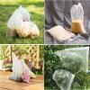 🔥Last Day Promotion 50% OFF - Fruit Vegetable Insect Proof Mesh Bag