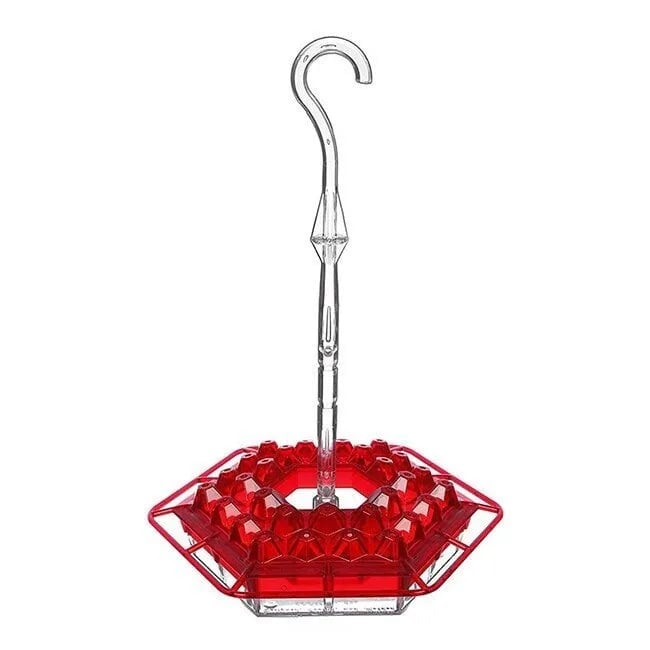 🔥Last Day 50% OFF- Hummingbird Feeders