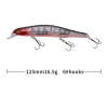 Minnow Fishing Lure
