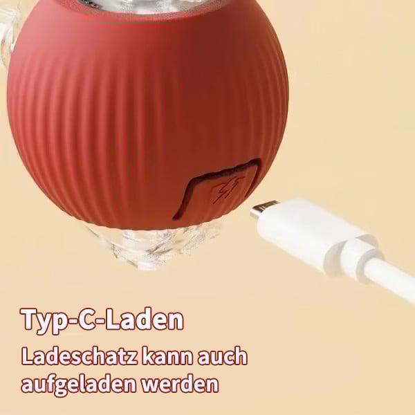 💗Letzter Tagesangebot: 49 % RABATT😻 Interaktiver Spielzeug Ball