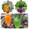 ( Last Day Promotion - 50% OFF) Automatic Little Bird Watering Device, Buy 5 Get 5 Free & Free Shipping