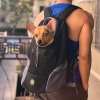 💥Clearance Sale Last Day 60% OFF🔥2023 Summer Dog Backpack