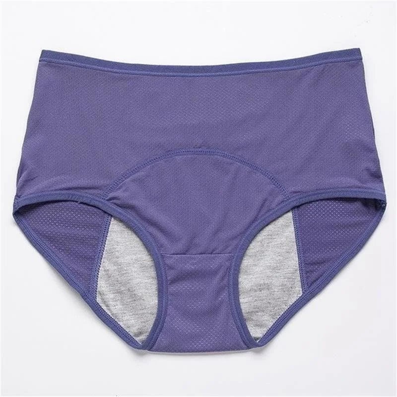 🎁Last Day 49% OFF - Extra-Large Leak Proof Protective Panties