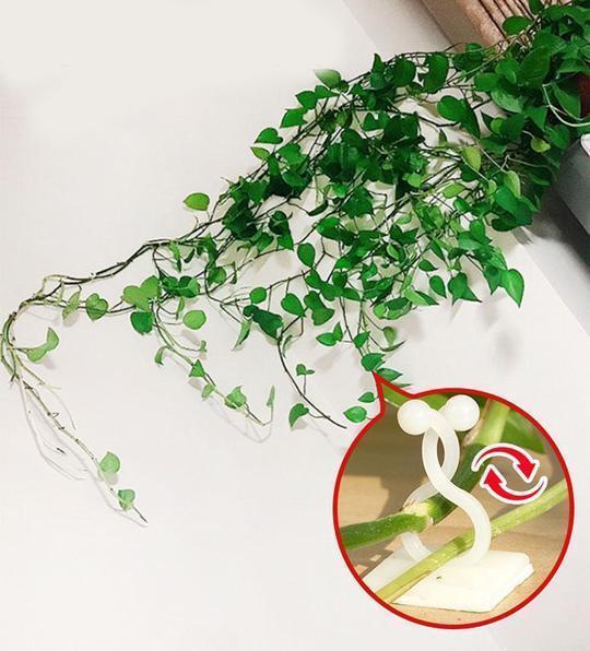 (New Year Sale-Save 50% OFF) Plant Climbing Wall Fixture-(10PCS/50PCS)