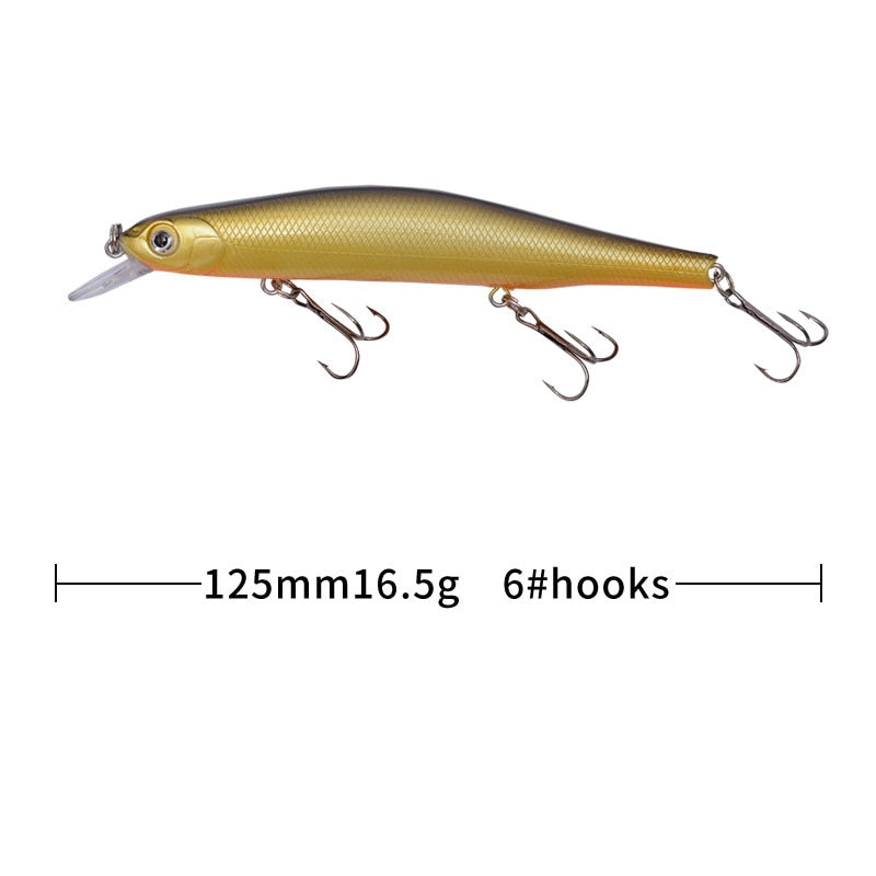 Minnow Fishing Lure