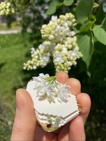 🎁TikTok Last Day Sale - 70% OFF🔥Micro Flower Press