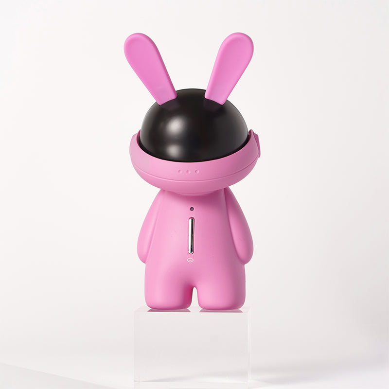 Fashion Ornaments Rabbit Clitoris Sucking Vibrator Set With Dust Cover