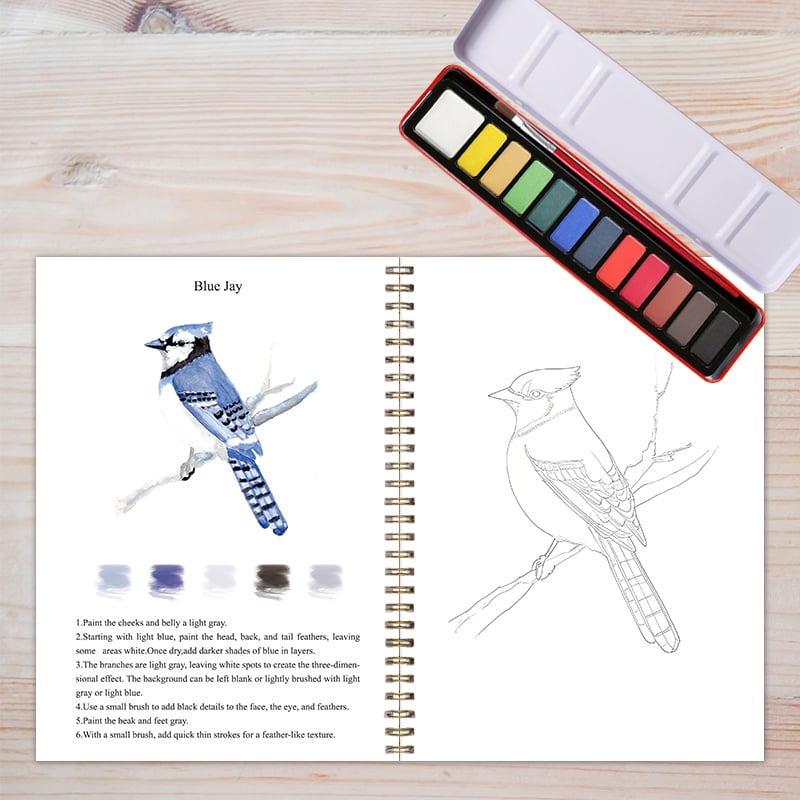 ⏰Children's Day Sale 60% OFF🖼️Beginner-Friendly💝Watercolor Workbook
