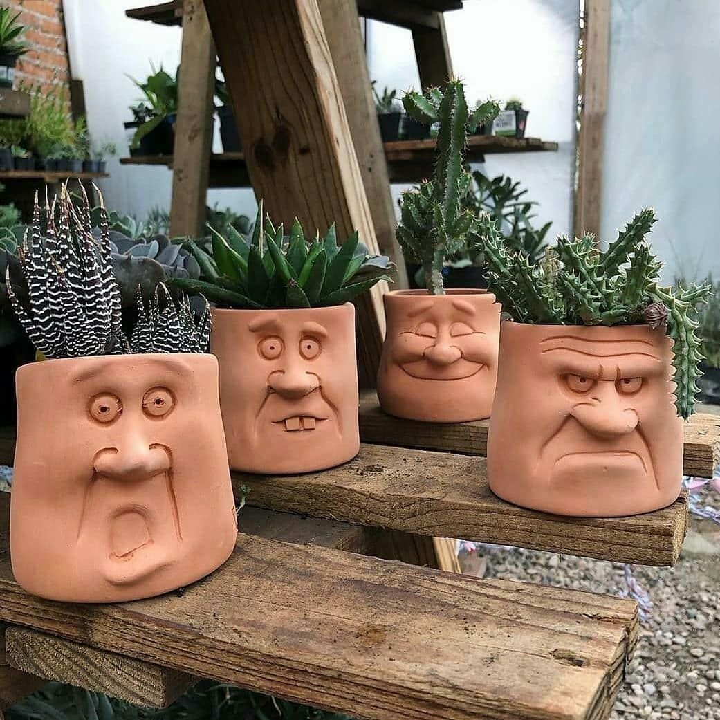 Flower pots decorated with a caricature of a face