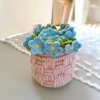 🌹100% Handmade Rose Coaster and Flower Basket Crochet