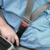 Universal Seat Belt Extension