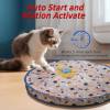 (🎄Christmas Hot Sale - 49% OFF) 2 in 1 Simulated Interactive Hunting Cat Toy