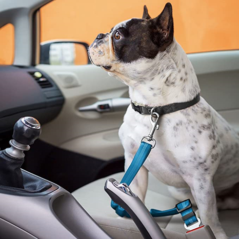 Early Christmas Sell 48% OFF- Pet Safe Seatbelt (BUY 2 GET 2 FREE)