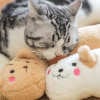 (Last Day Promotion - 48% OFF) Cat Lovely Cozy Pillow, BUY 3 GET 3 FREE & FREE SHIPPING