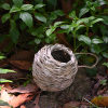 💲One Day 49% OFF🐦Hummingbird Nest House-💲Buy 2 Get 2 Free(4PCS)