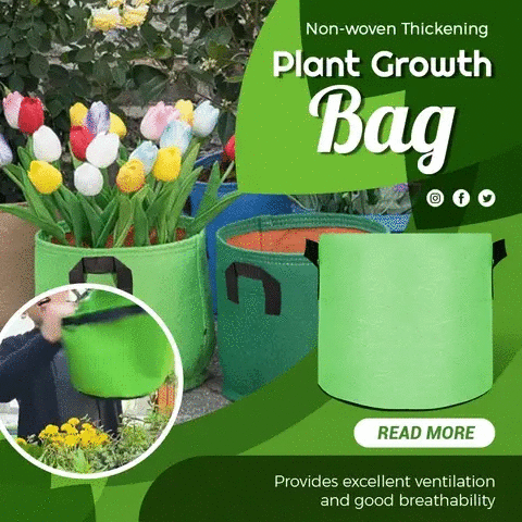 (🔥Last Day Promotion 50% OFF) Fabric Vegetable Plant Growth Bag, Buy 3 Get 2 Free & Free Shipping