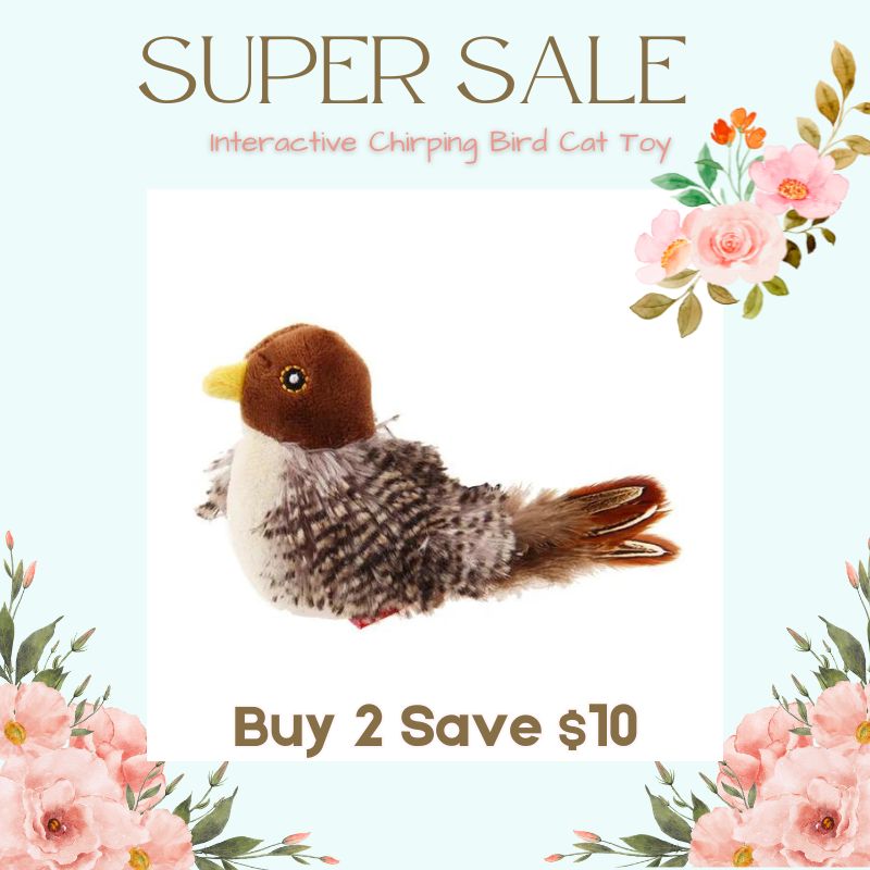 🔥 Last Day Sale 50% Off  ⏰ Interactive Chirping Bird Cat Toy 🐧