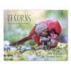 📅Becorns 2025 Calendar: Forest Folk